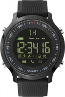 Умные часы Digma Smartline E1m Black