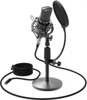 Микрофон Ritmix RDM-175 Black