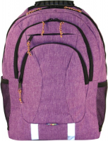 Рюкзак для ноутбука Vivacase City Large (VCN-BCL15-pink)