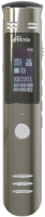 Диктофон Ritmix RR-190 4Gb