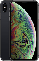 Смартфон Apple iPhone Xs Max 64GB Space Grey (MT502RU/A)