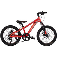Велосипед Nameless 20 J2100D, красный/серый (2019)