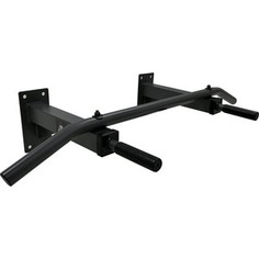 DFC Турник настенный Homegym G120