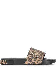 Dolce & Gabbana леопардовые шлепанцы с логотипом