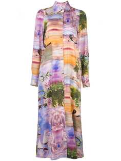 Cynthia Rowley платье-рубашка Reeve длины макси