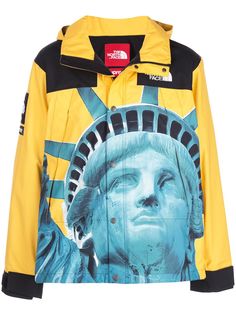 Supreme куртка из коллаборации с The North Face