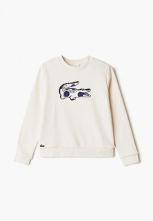 Свитшот Lacoste 