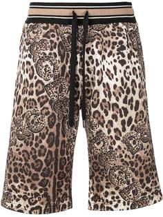 Dolce & Gabbana шорты с леопардовым принтом