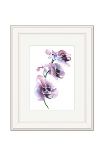 Картина "Ветка орхидеи" OLGA GLAZUNOVA