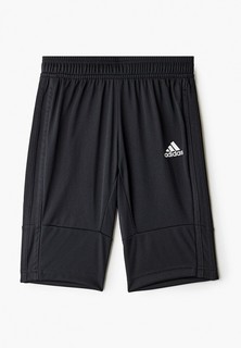 Шорты спортивные adidas 
