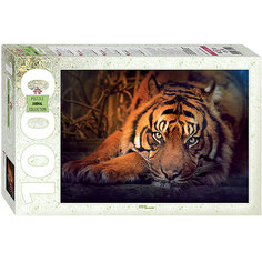 Мозаика "puzzle" 1000 "Сибирский тигр" Степ пазл