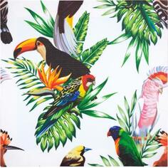 Картина на холсте «Тропические птицы» 40х40 см