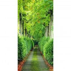 Фотообои флизелиновые «Зеленая аллея» 100х200 см