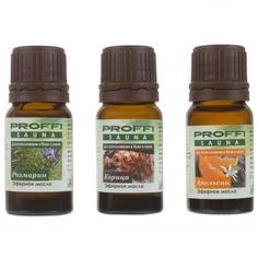 Ароматизатор для хаммама «Банные традиции» Proffi Sauna