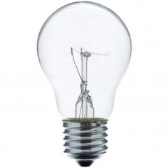Лампа накаливания E27 40 Вт шар прозрачный, тёплый белый свет Bellight