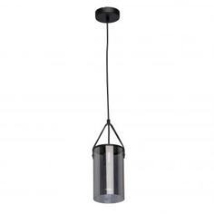 Люстра подвесная «Тетро», 1 лампа, 2 м², цвет чёрный Demarkt