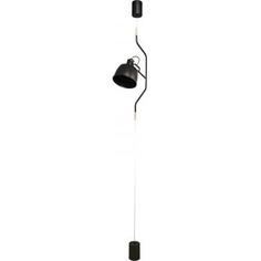 Светильник подвесной Vine L1177-1, 1 лампа, 2 м², цвет черный Lamplandia