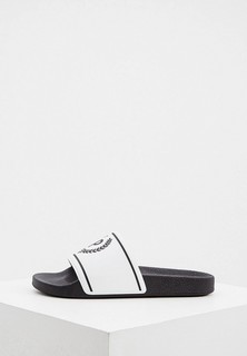 Сланцы Pollini 