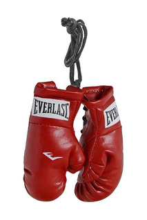 Брелок Mini Boxing Glove EVERLAST