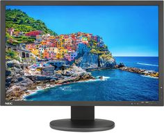 Монитор NEC PA243W-BK 24.1&quot; (черный)