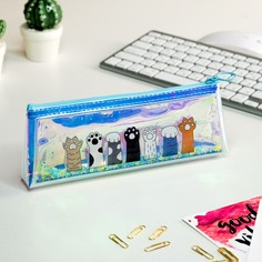 Пенал-шейкер школьный Calligrata