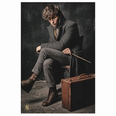 Сувенир Pyramid Постер FBTCoG: Newt Scamander