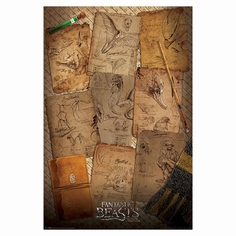Сувенир Pyramid Постер Fantastic Beasts: Notebook Pages