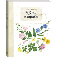Книга Мой гербарий "Цветы и травы"