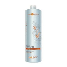 Hair Company, Шампунь Bio Argan, 1000 мл