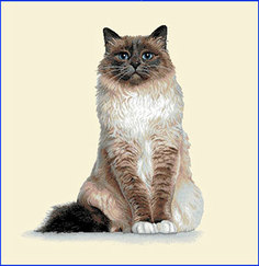 Наволочка Le Gobelin