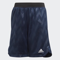 Шорты для фитнеса XFG adidas Performance