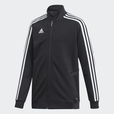 Олимпийка TIRO19 TR JKTY adidas Performance