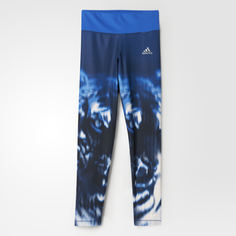 Леггинсы Training Tiger adidas Performance