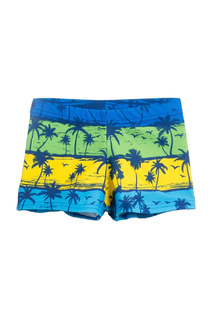 Плавки Coccodrillo