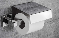 Держатель туалетной бумаги Colombo Design BasicQ B3791