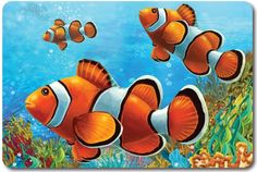 Коврик Veragio Nemo VR.CPT-7160.14