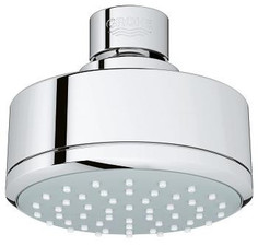 Grohe New Tempesta Cosmopolitan 100 26366000 Верхний душ