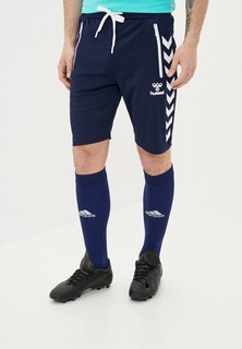 Шорты спортивные Hummel hmlXANDER