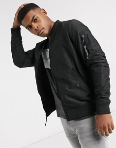 Hollister Snik
