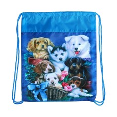 Мешок для обуви 420*350 calligrata мсо-5с дев