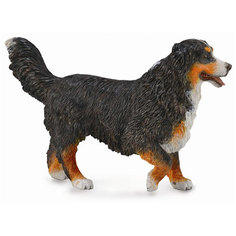 Коллекционная фигурка Collecta Бернский зенненхунд, L