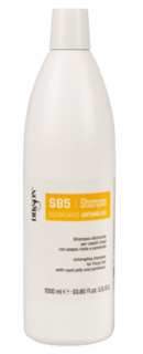 Domix, Шампунь для облегчения расчесывания с маточным молочком и пантенолом SM Line Districante S85, 1 л Dikson