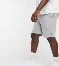 Трикотажные шорты French Connection Plus-Серый