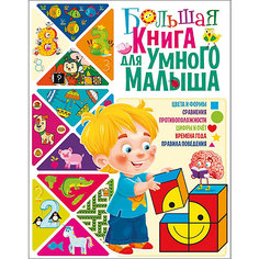 Большая книга для умного малыша Vladis
