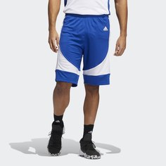 Баскетбольные шорты N3XT L3V3L Prime adidas Performance