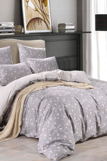 КПБ евро Кендра Sofi De Marko