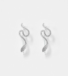 Серебряные серьги-клаймберы с дизайном "змея" Kingsley Ryan-Серебряный