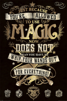 Постер Pyramid Harry Potter: Magic (PP33920)