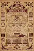 Постер Pyramid Harry Potter: Quidditch At Hogwarts (PP34067)