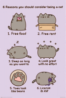 Постер Pyramid Pusheen: Reasons To Be A Cat (PP34253)